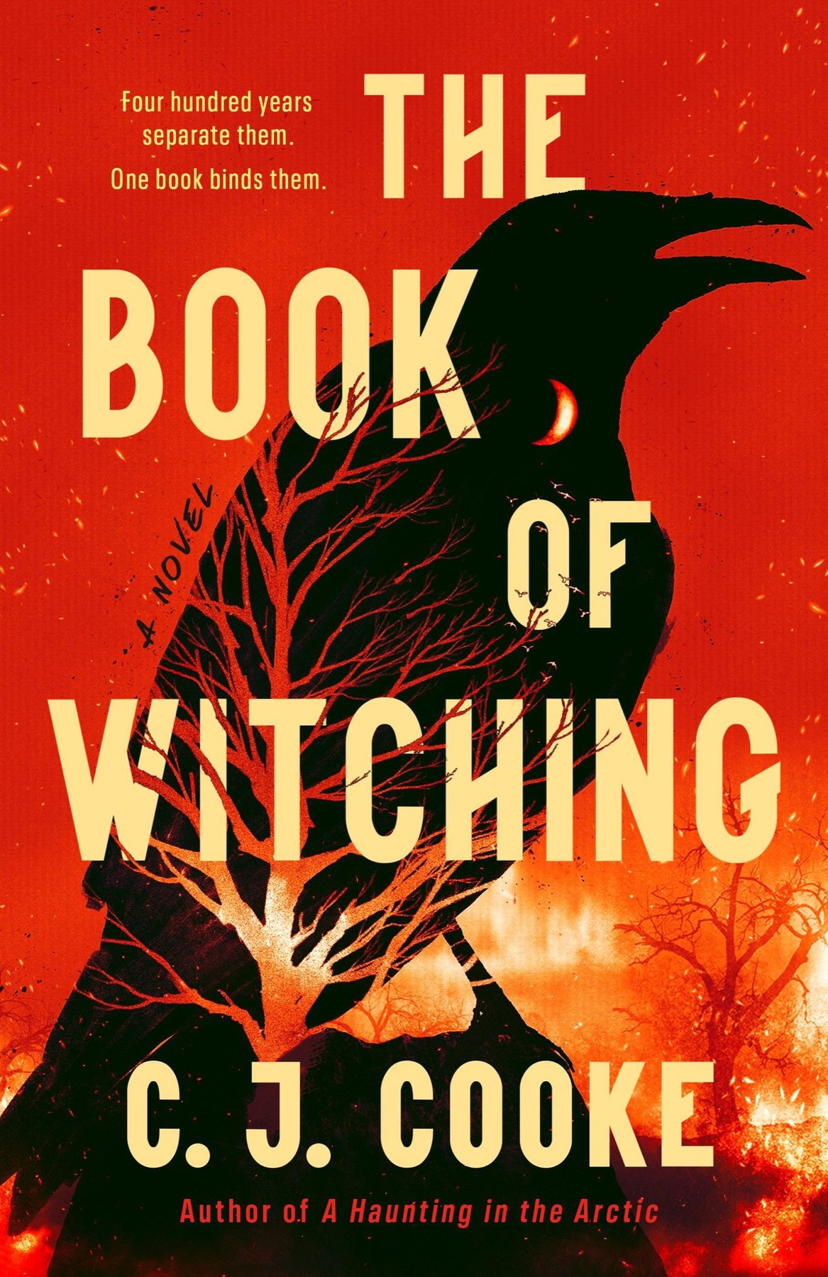Cover of The Book of Witching