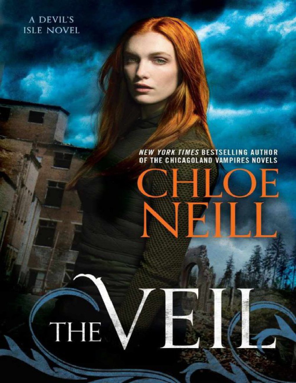 Cover of The Veil