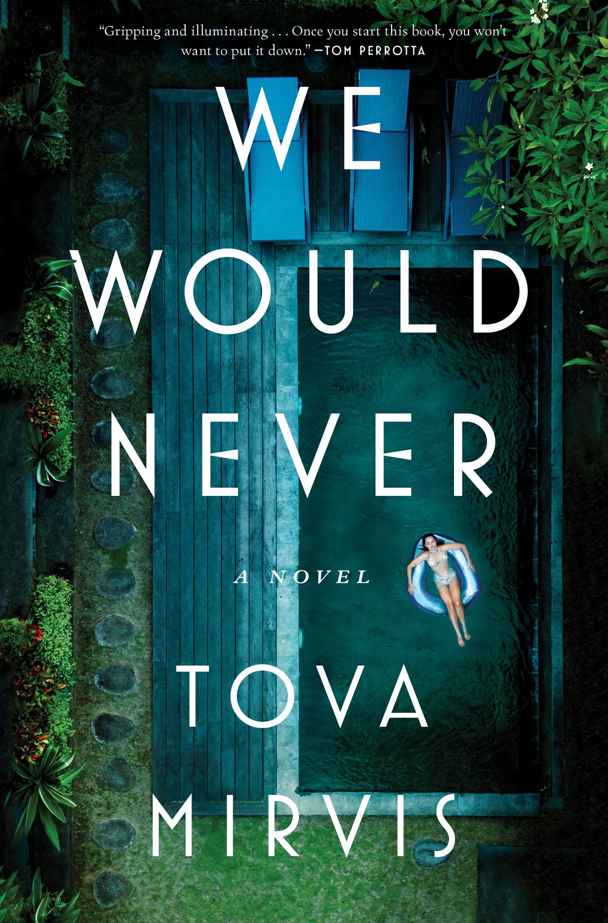 Cover of We Would Never