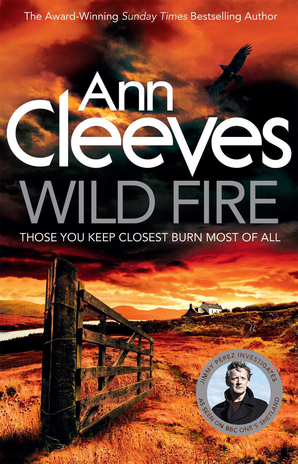 Cover of Wild Fire