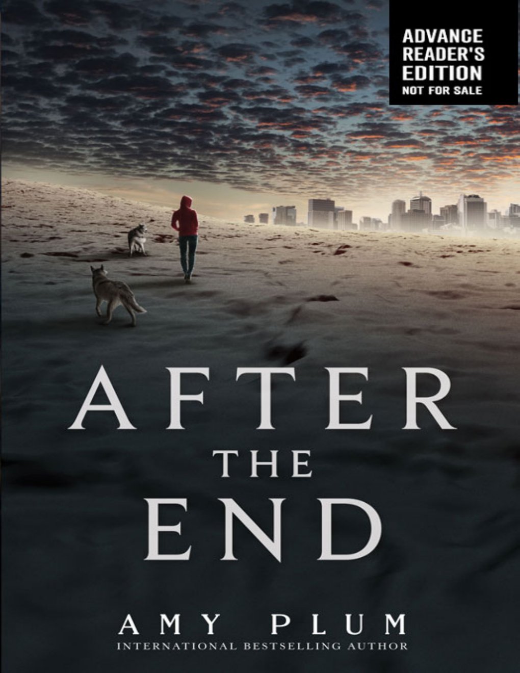 Cover of Plum, Amy - After the End