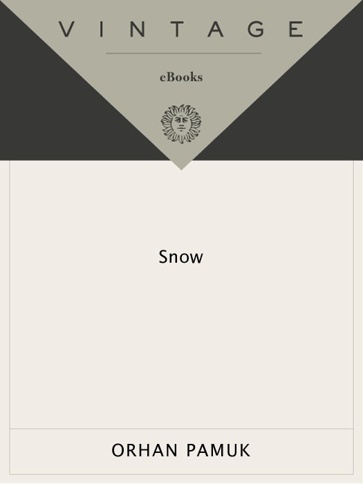 Cover of Snow (1979)