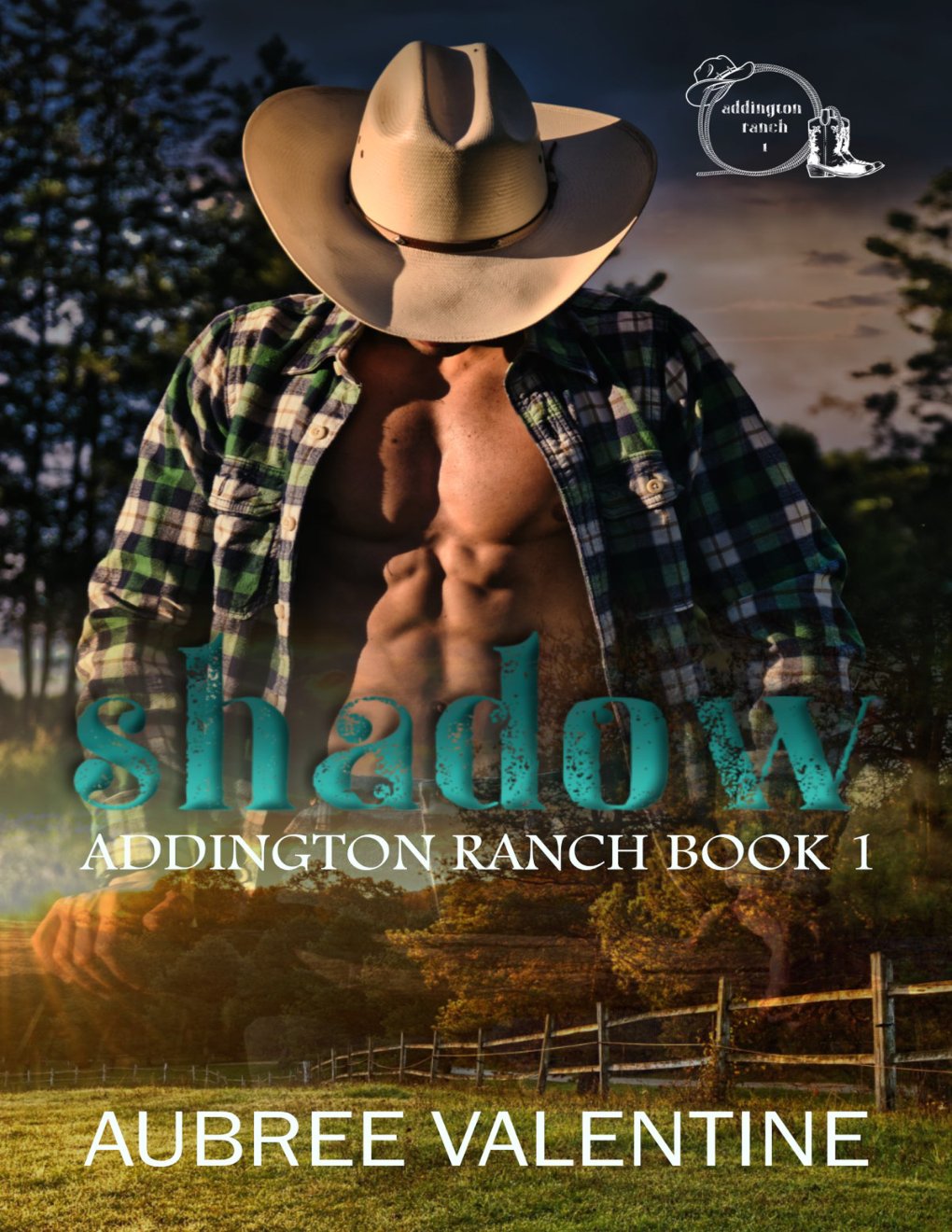 Cover of Shadow