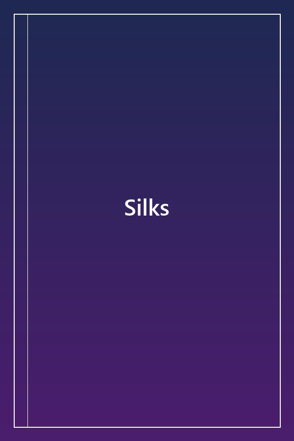 Cover of Silks