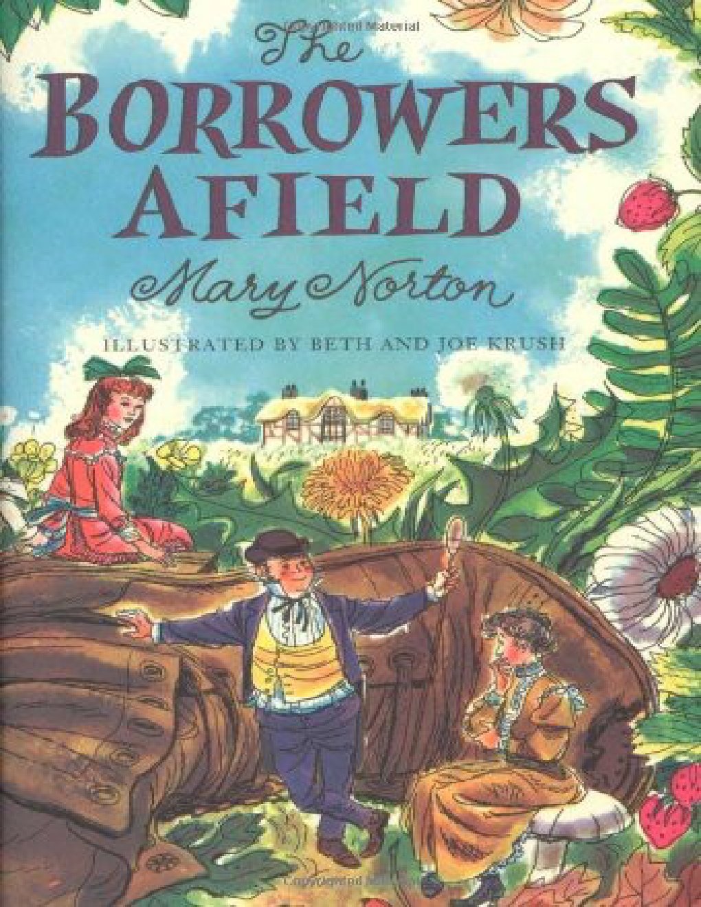 Cover of The Borrowers Afield