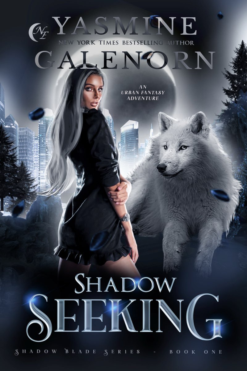 Cover of Shadow Seeking (2024)