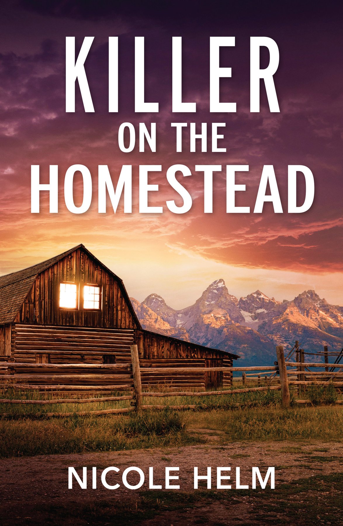 Cover of Killer On The Homestead (Bent County Protectors)