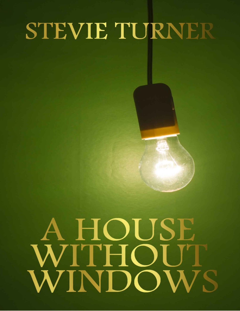 Cover of A House Without Windows