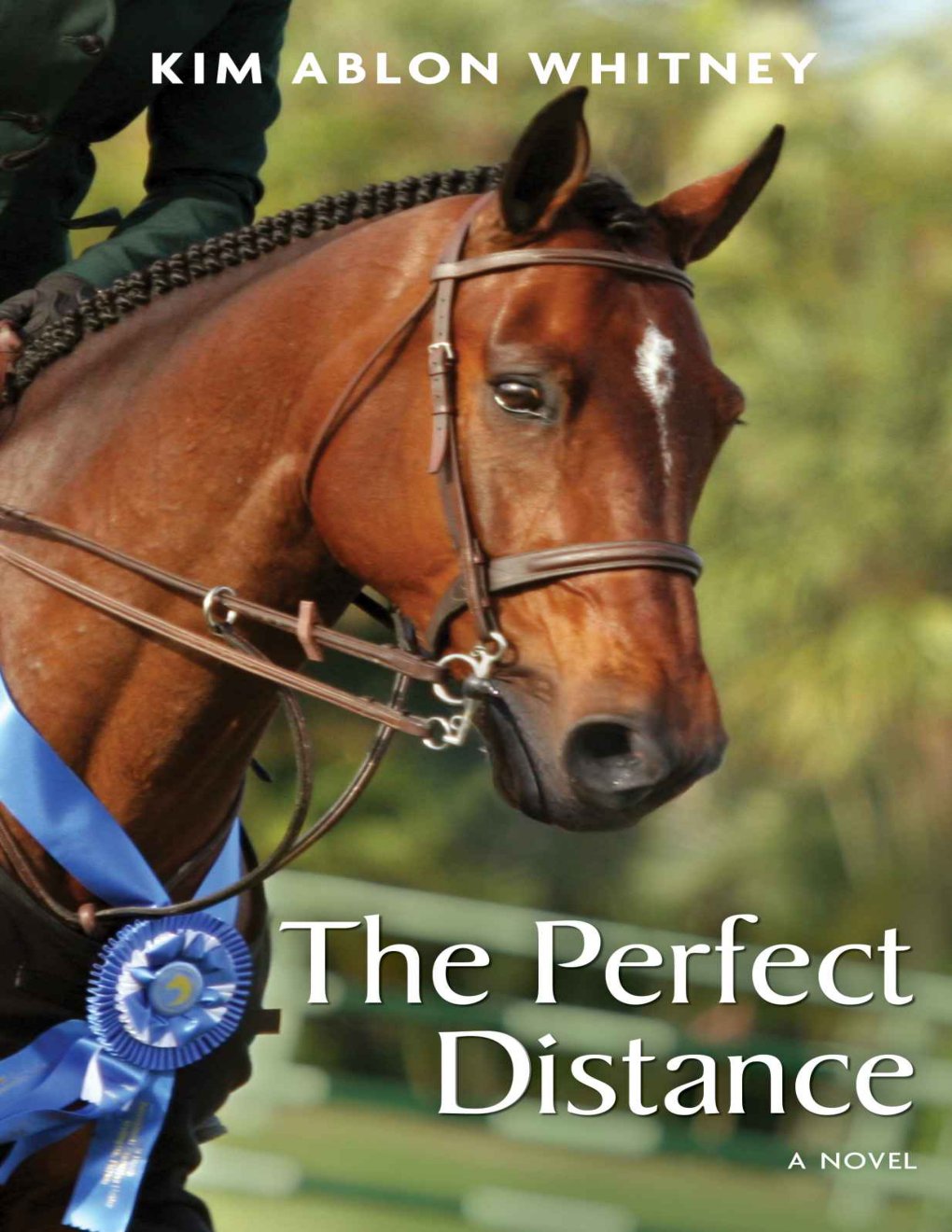 Cover of The Perfect Distance