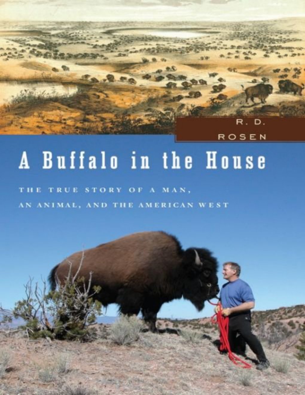 Cover of A Buffalo in the House