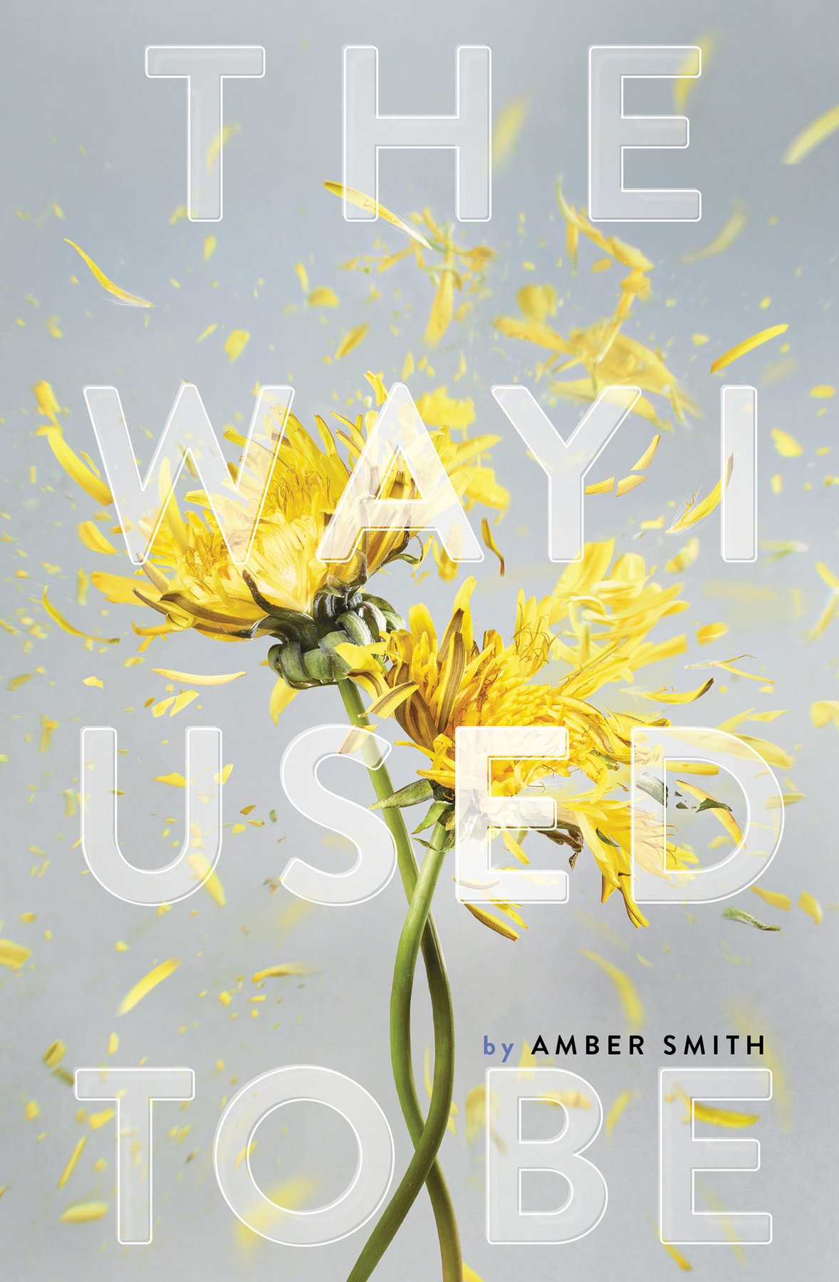 Cover of The Way I Used to Be