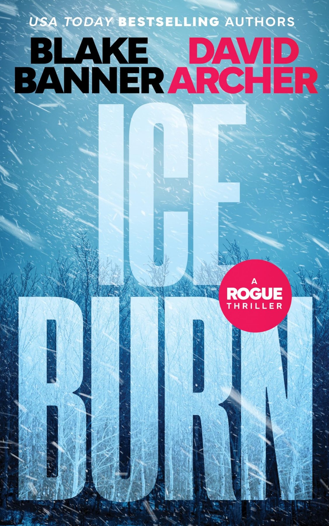 Cover of Ice Burn