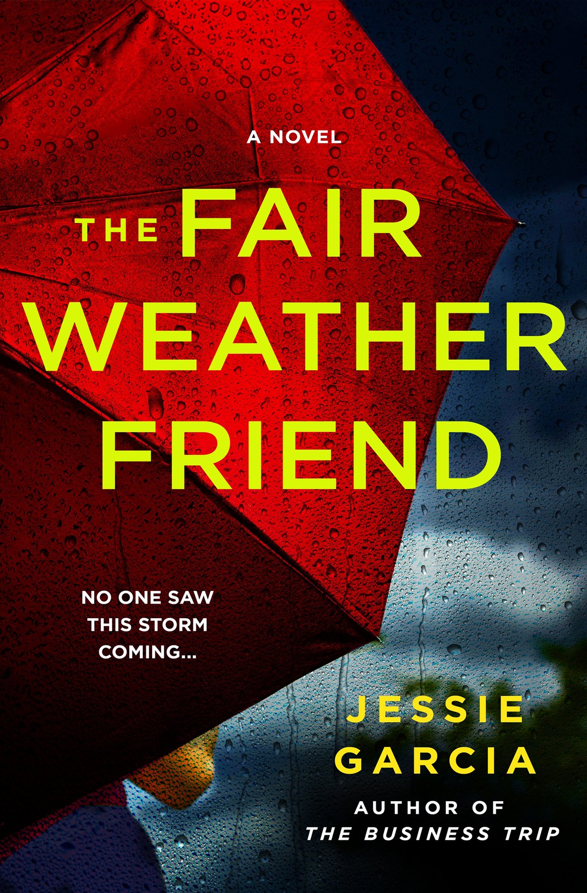 Cover of The Fair Weather Friend
