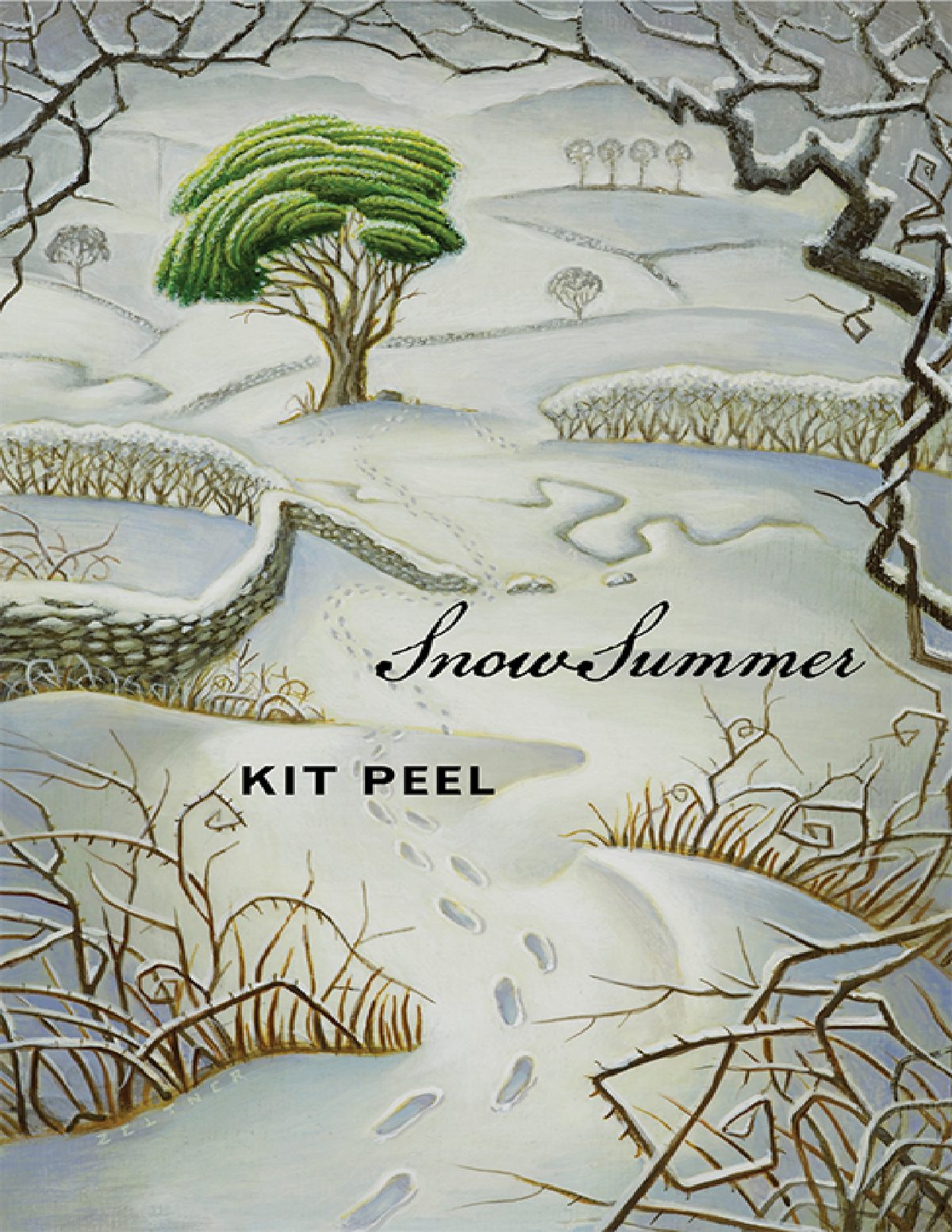 Cover of Snow Summer (1978)