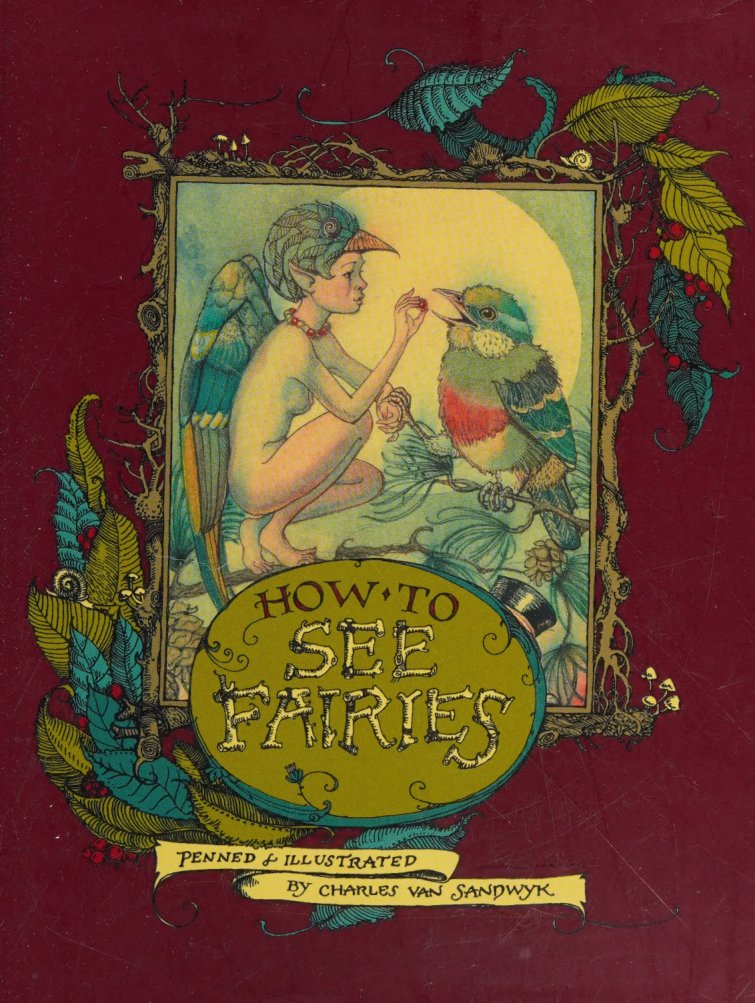 Cover of How to see fairies