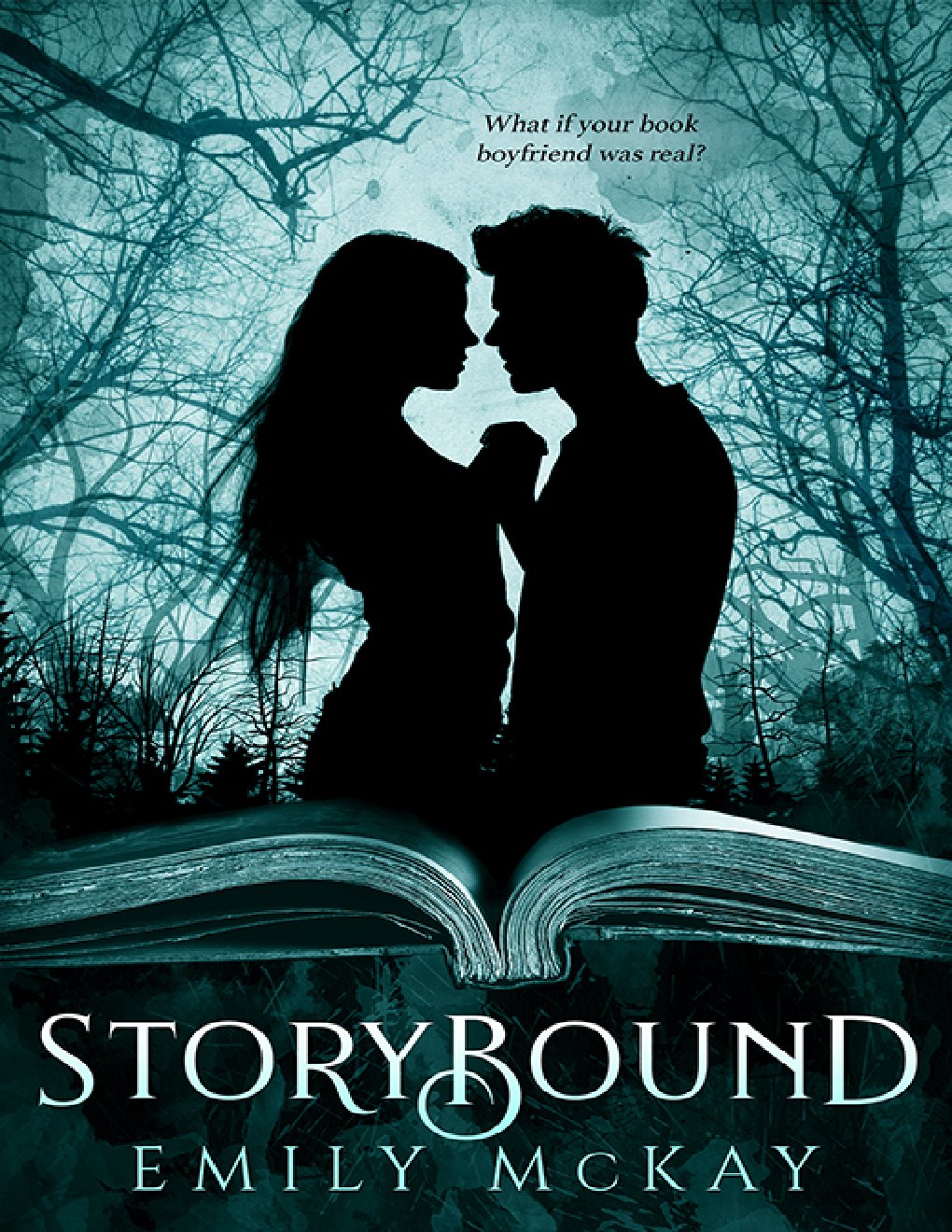 Cover of Storybound