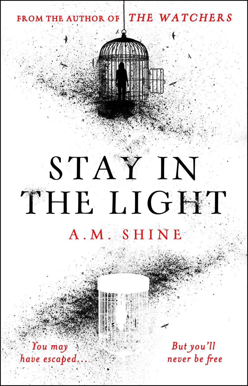 Cover of Stay in the Light (1988)