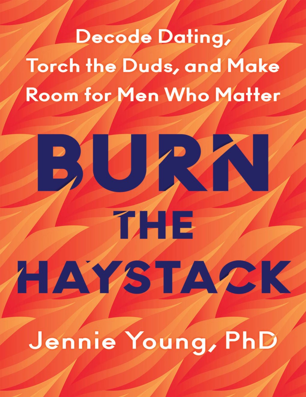 Cover of Burn the Haystack
