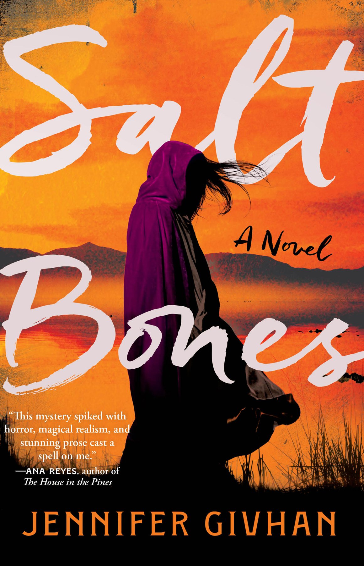 Cover of Salt Bones