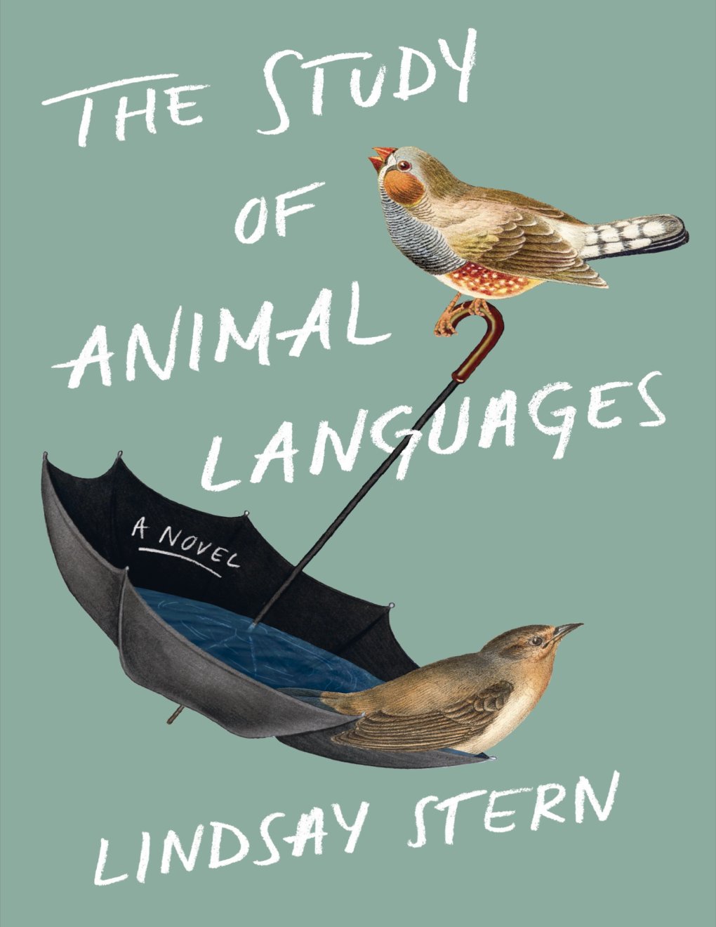 Cover of The Study of Animal Languages: A Novel