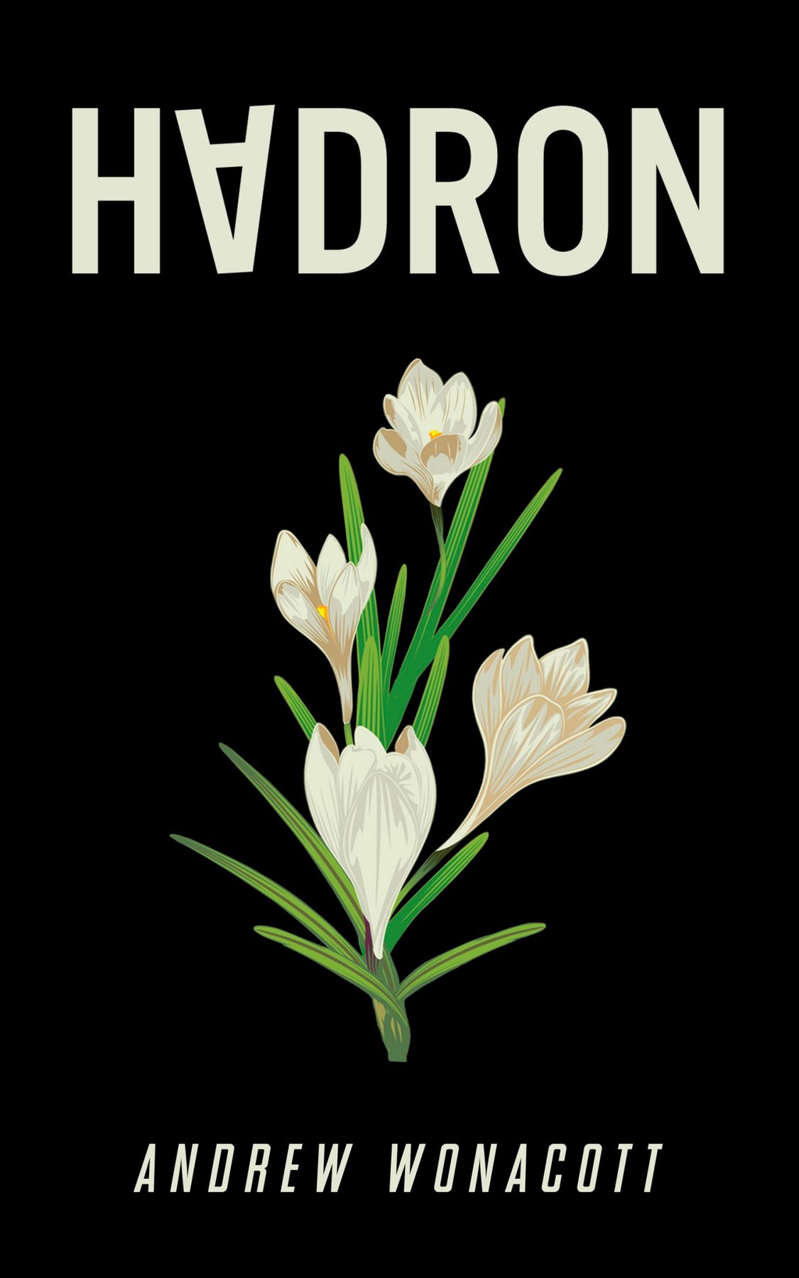 Cover of Hadron