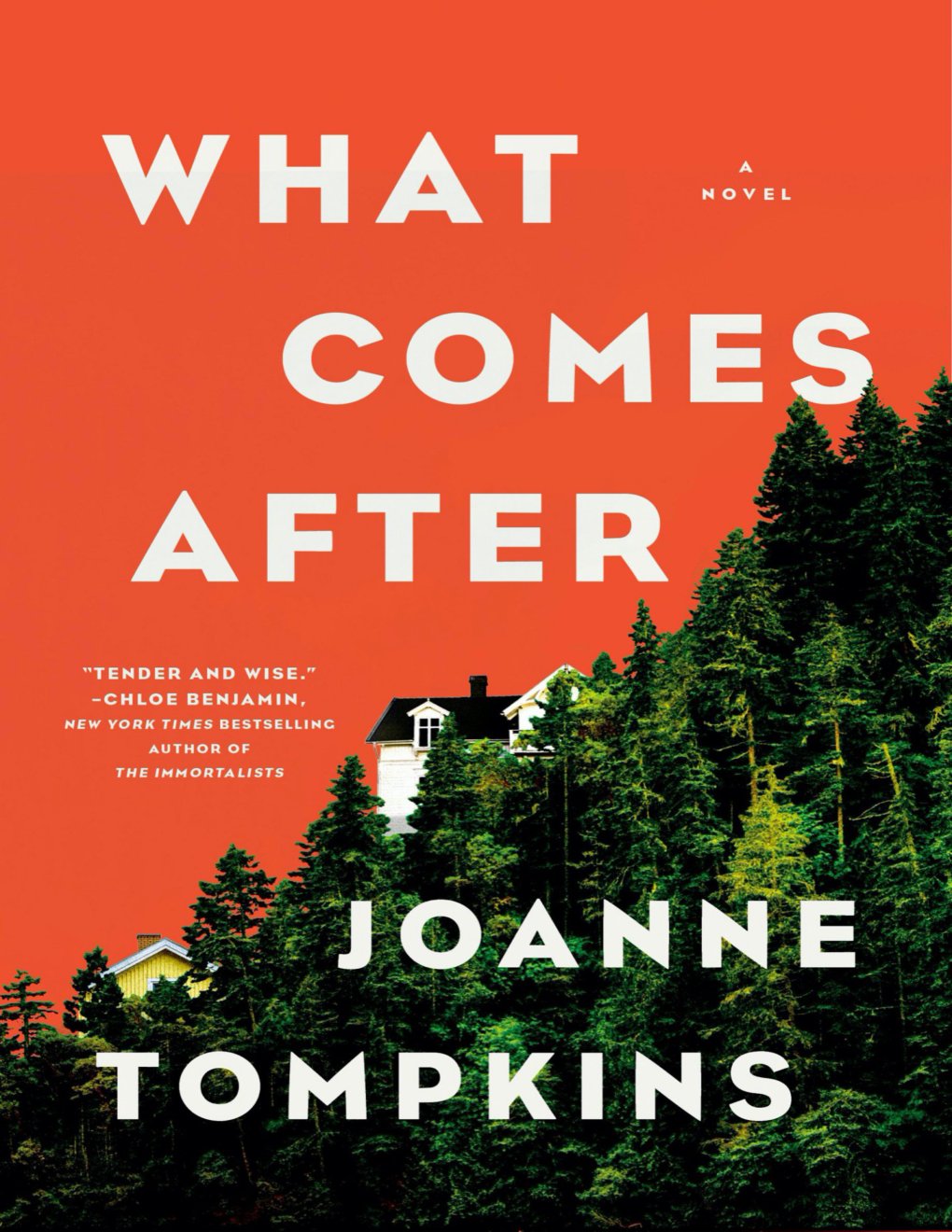 Cover of What Comes After: A Novel