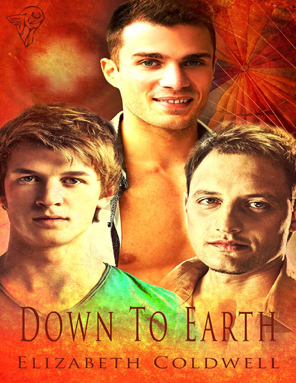 Cover of Down to Earth