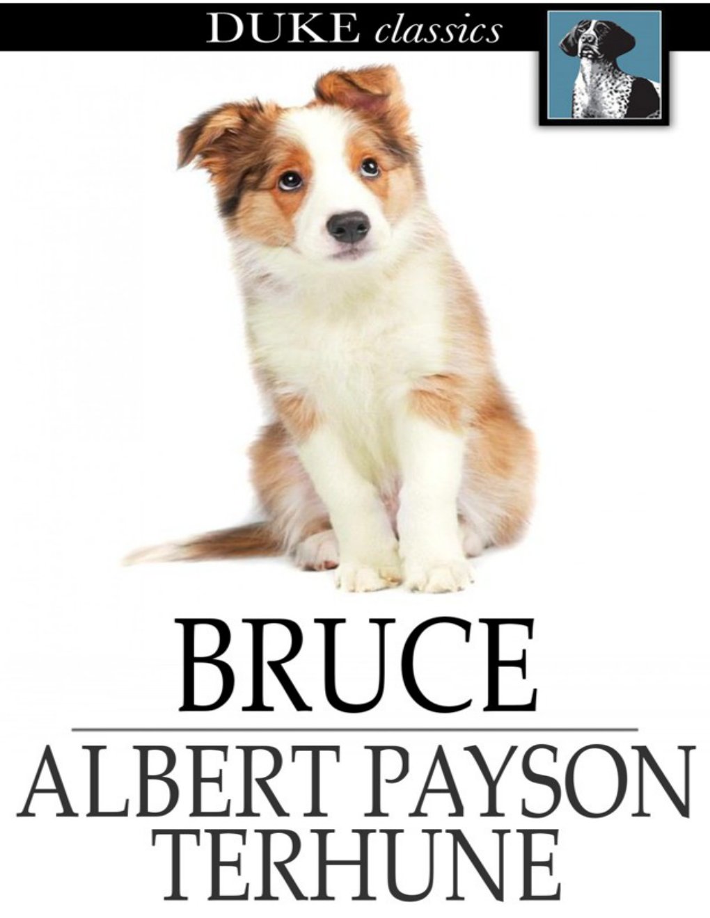 Cover of Bruce