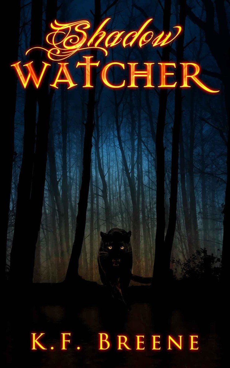 Cover of Shadow Watcher (2014)