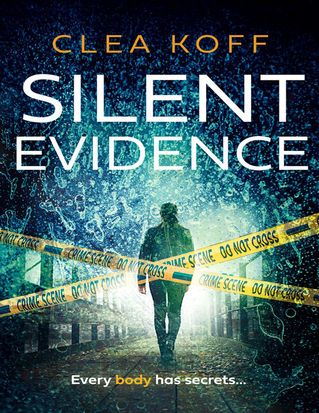 Cover of Silent Evidence (1994)