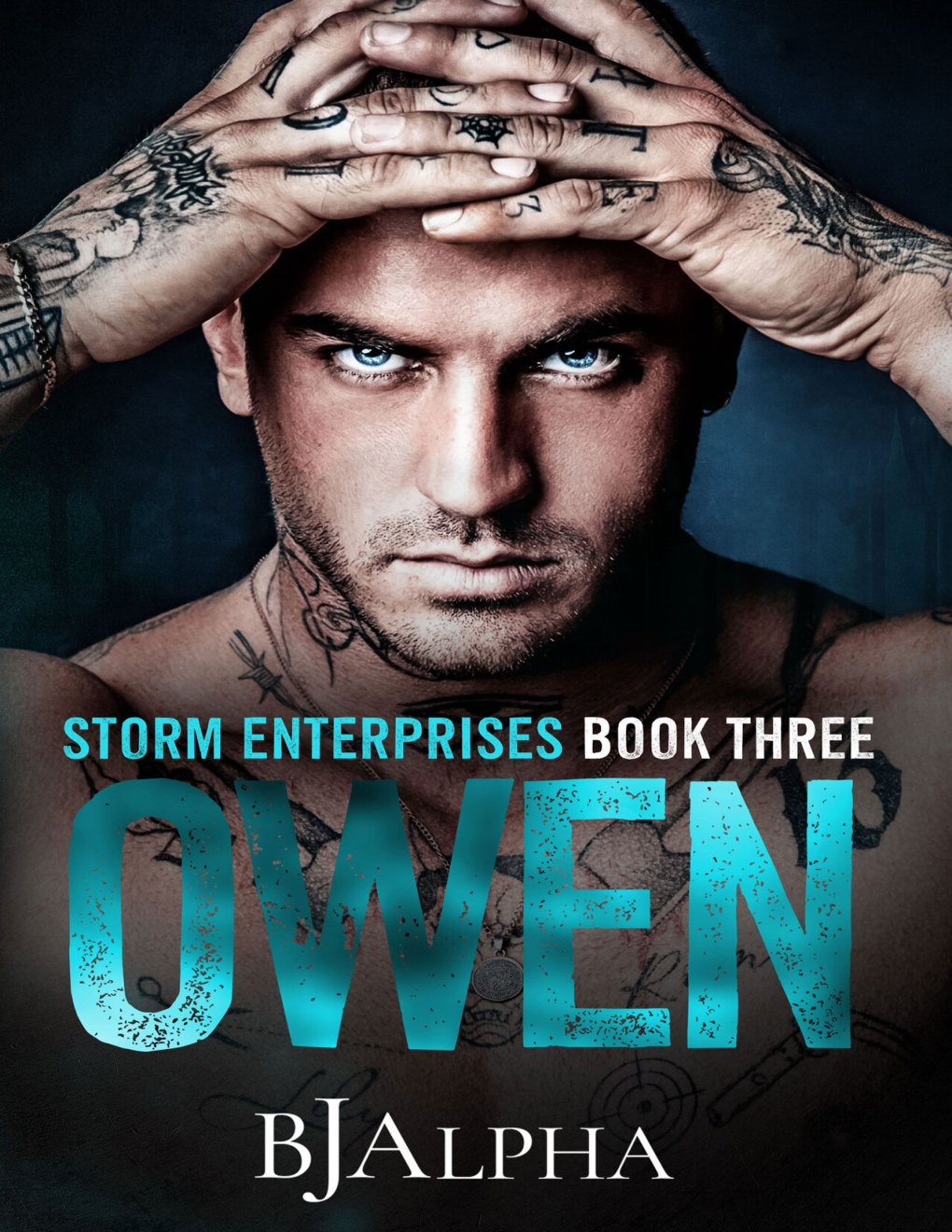 Cover of OWEN : STORM ENTERPRISES BOOK 3