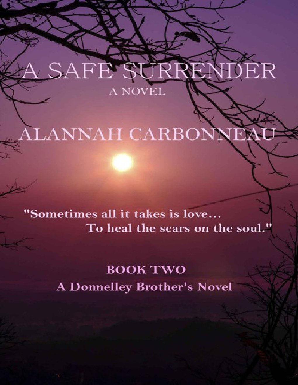 Cover of A Safe Surrender: A Donnelley Brother's Novel (Donnelley Brothers Book 2)