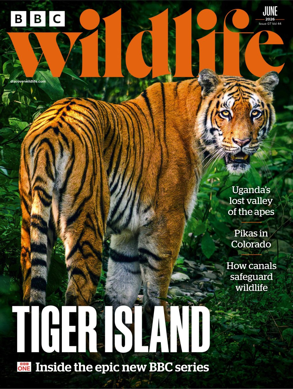 Cover of Inside the epic new BBC series