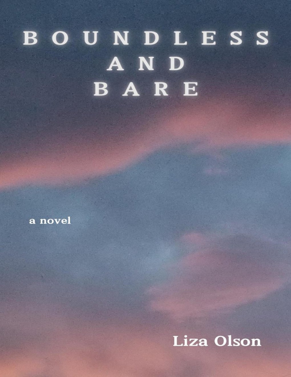 Cover of Boundless and Bare
