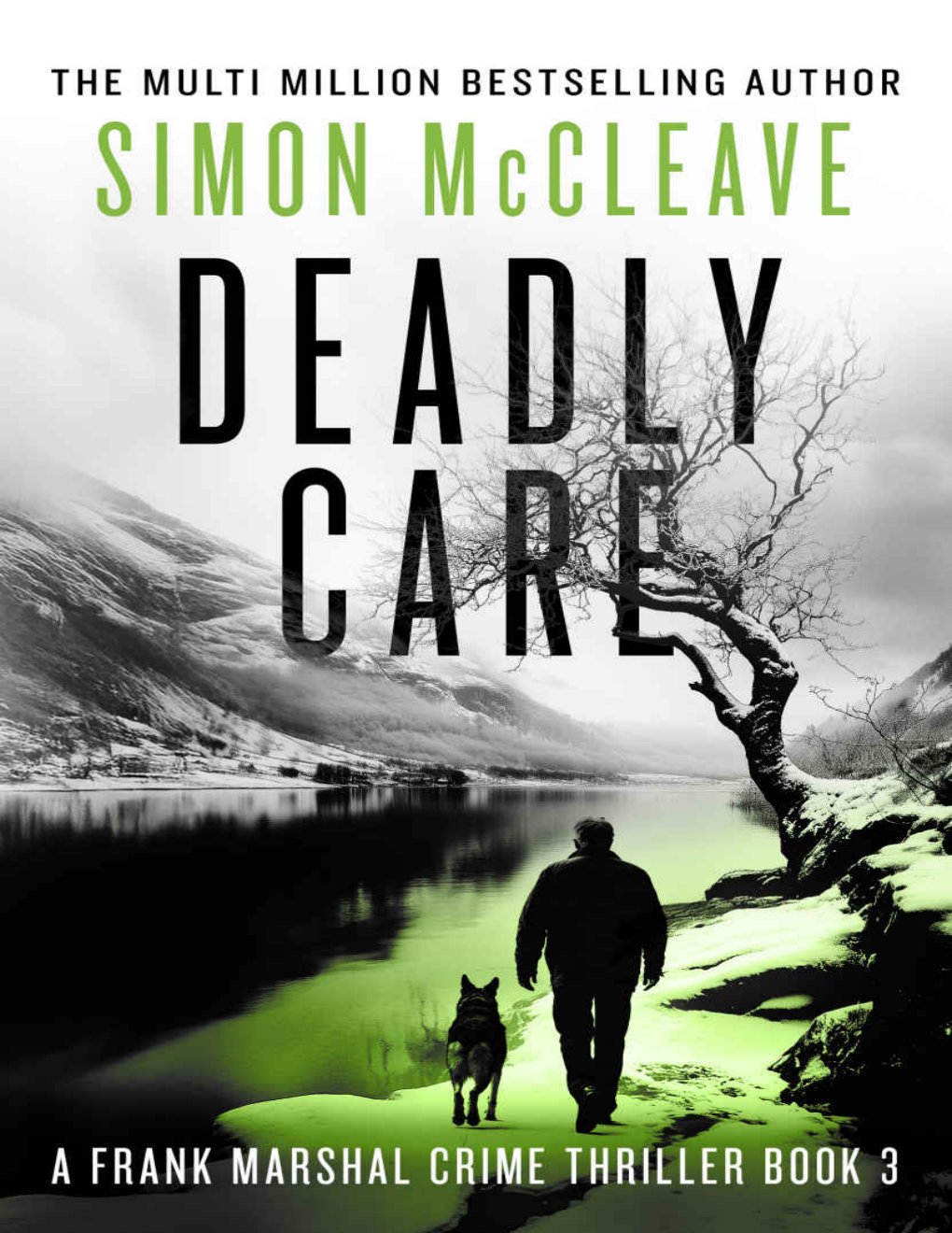 Cover of Deadly Care: A Frank Marshal Crime Thriller Book 3 (Marshal of Snowdonia)