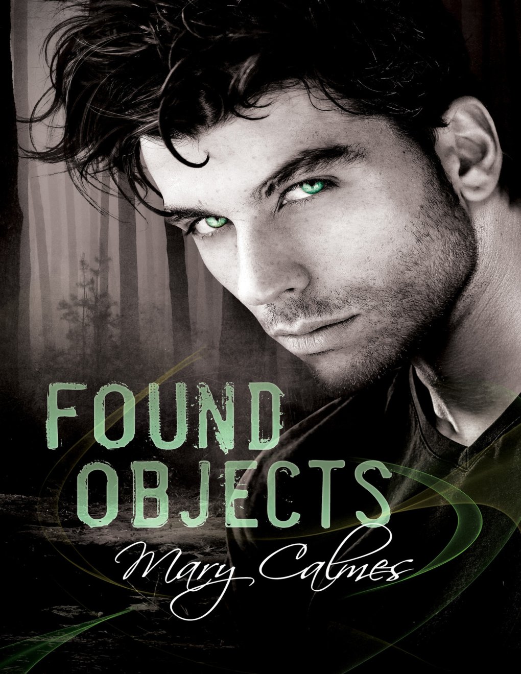 Cover of Found Objects