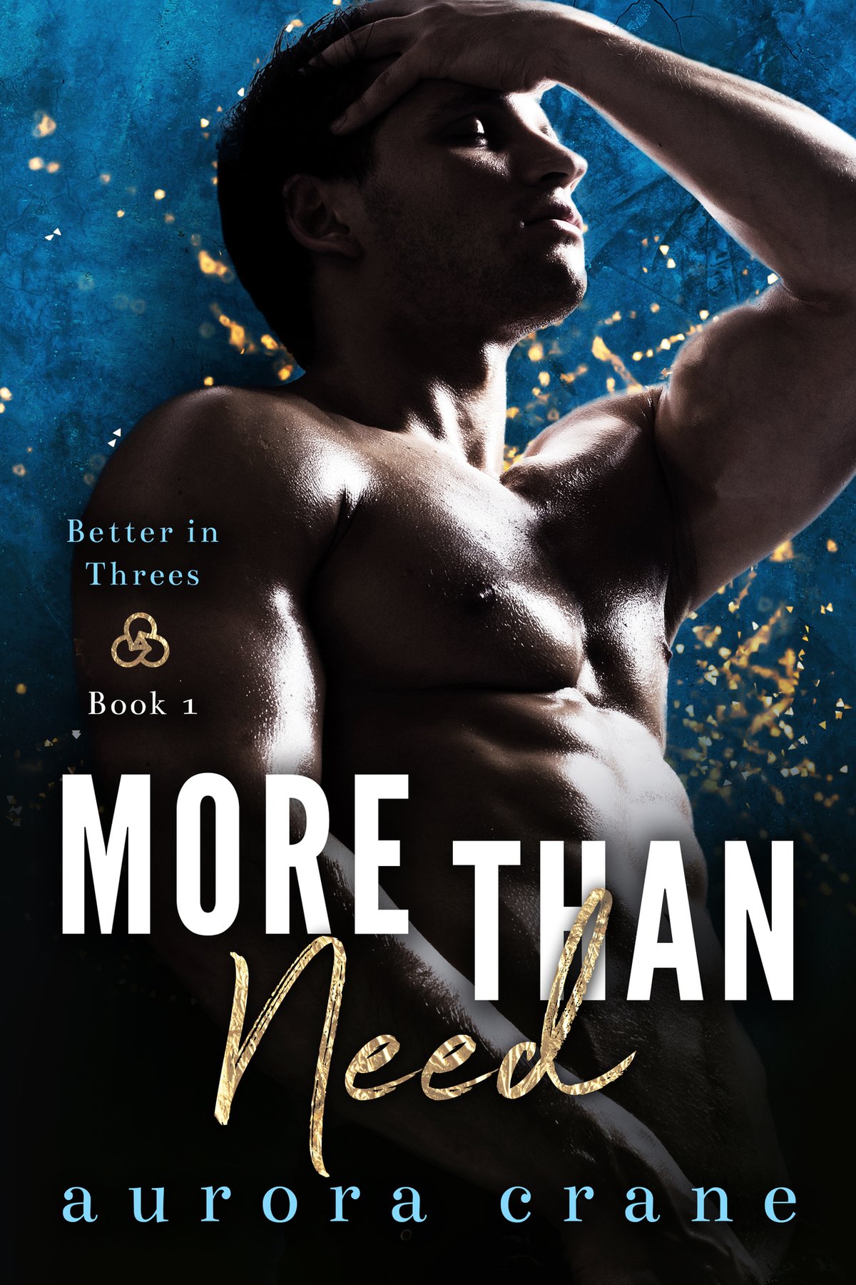 Cover of More than Need