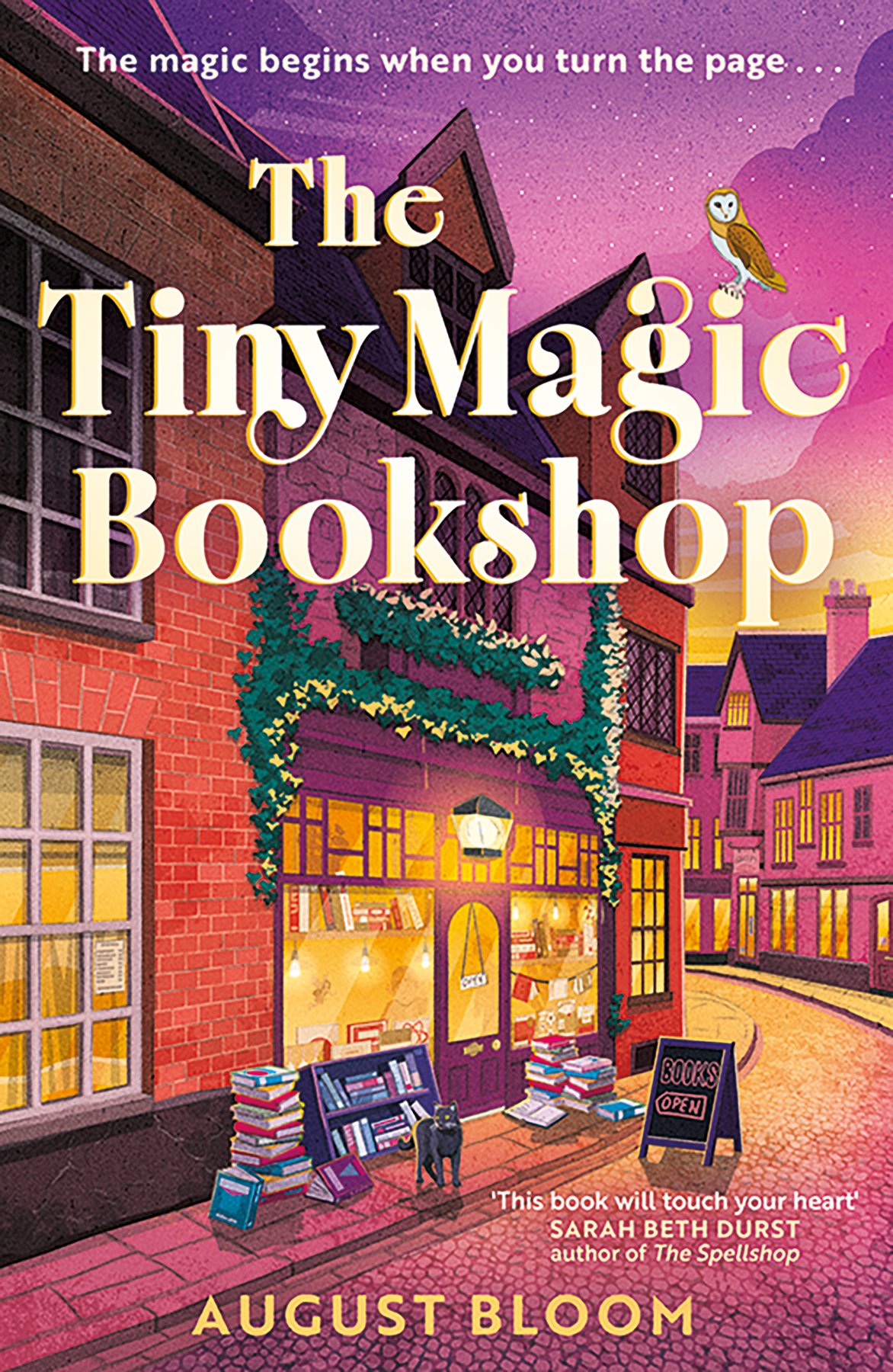 Cover of The Tiny Magic Bookshop (2000)