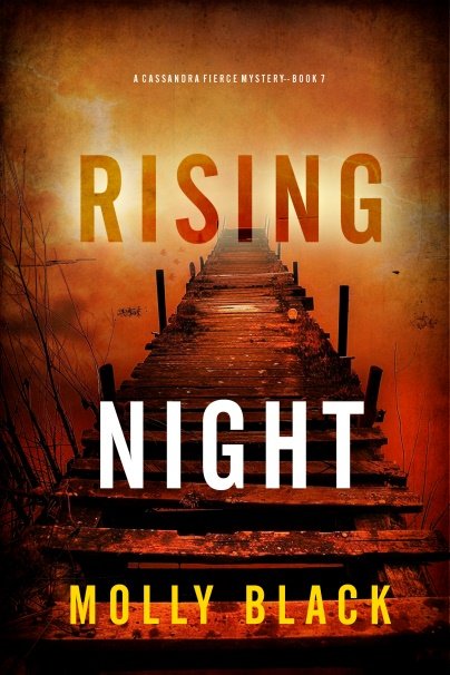 Cover of RISING NIGHT