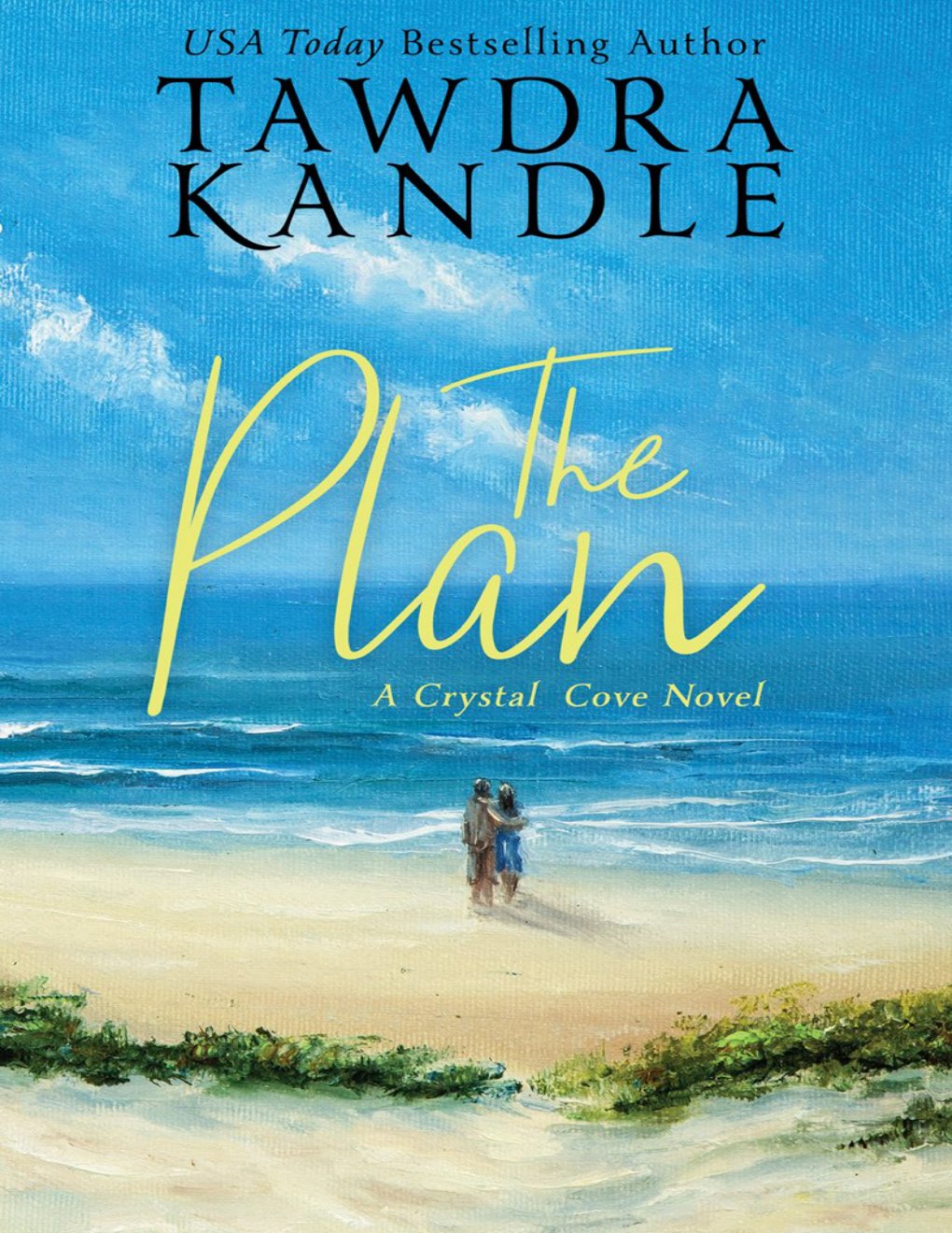 Cover of The Plan