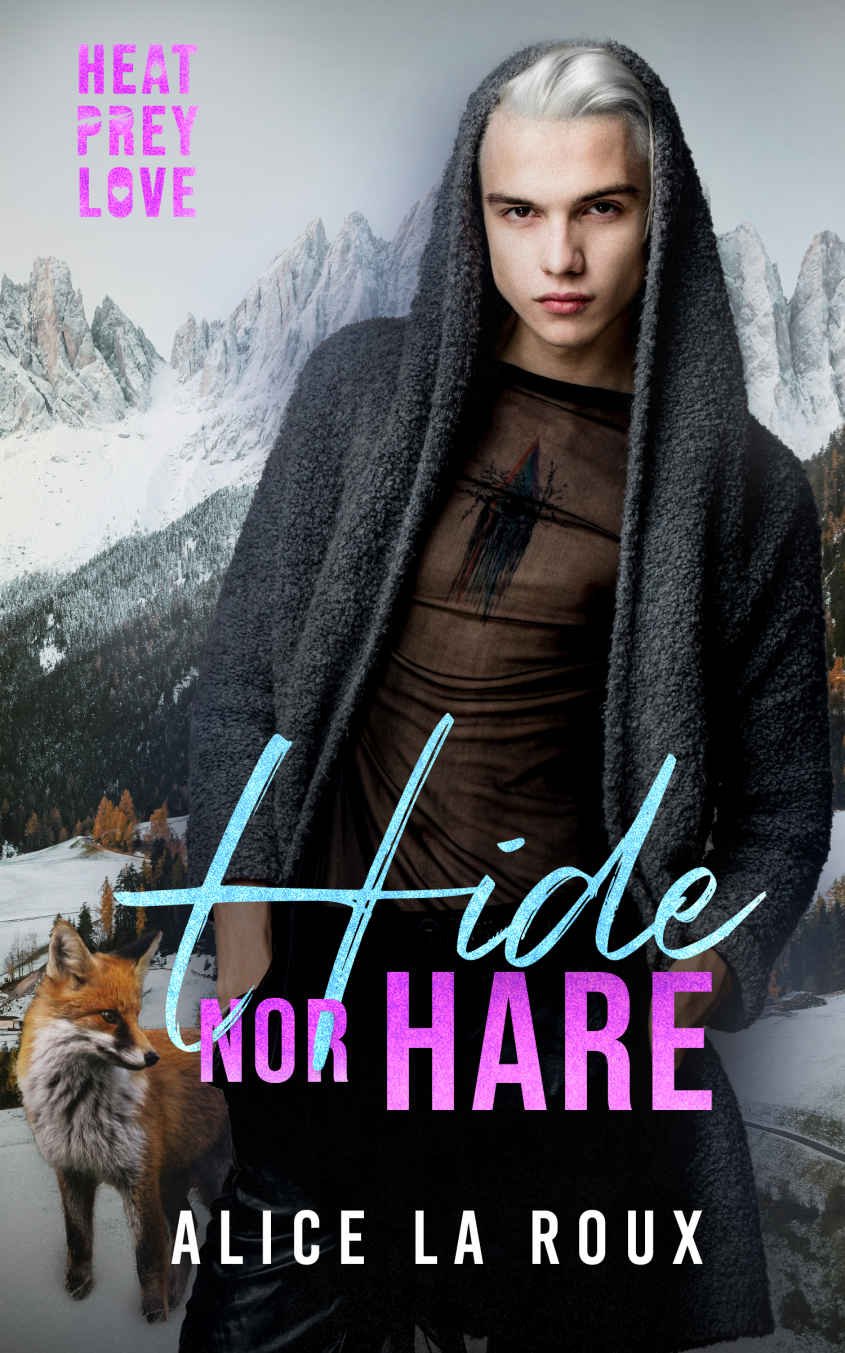 Cover of Hide nor Hare