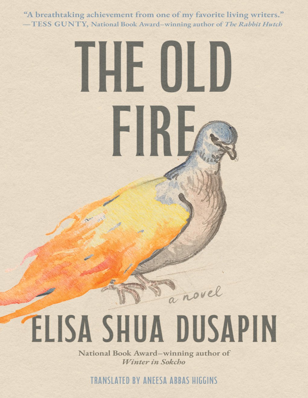 Cover of The Old Fire: A Novel