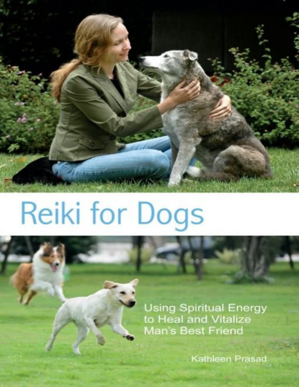 Cover of Reiki for Dogs