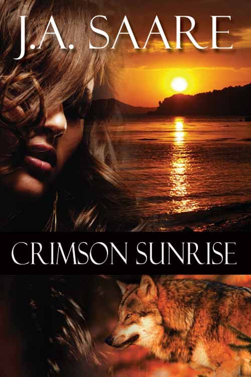 Cover of Crimson Sunrise