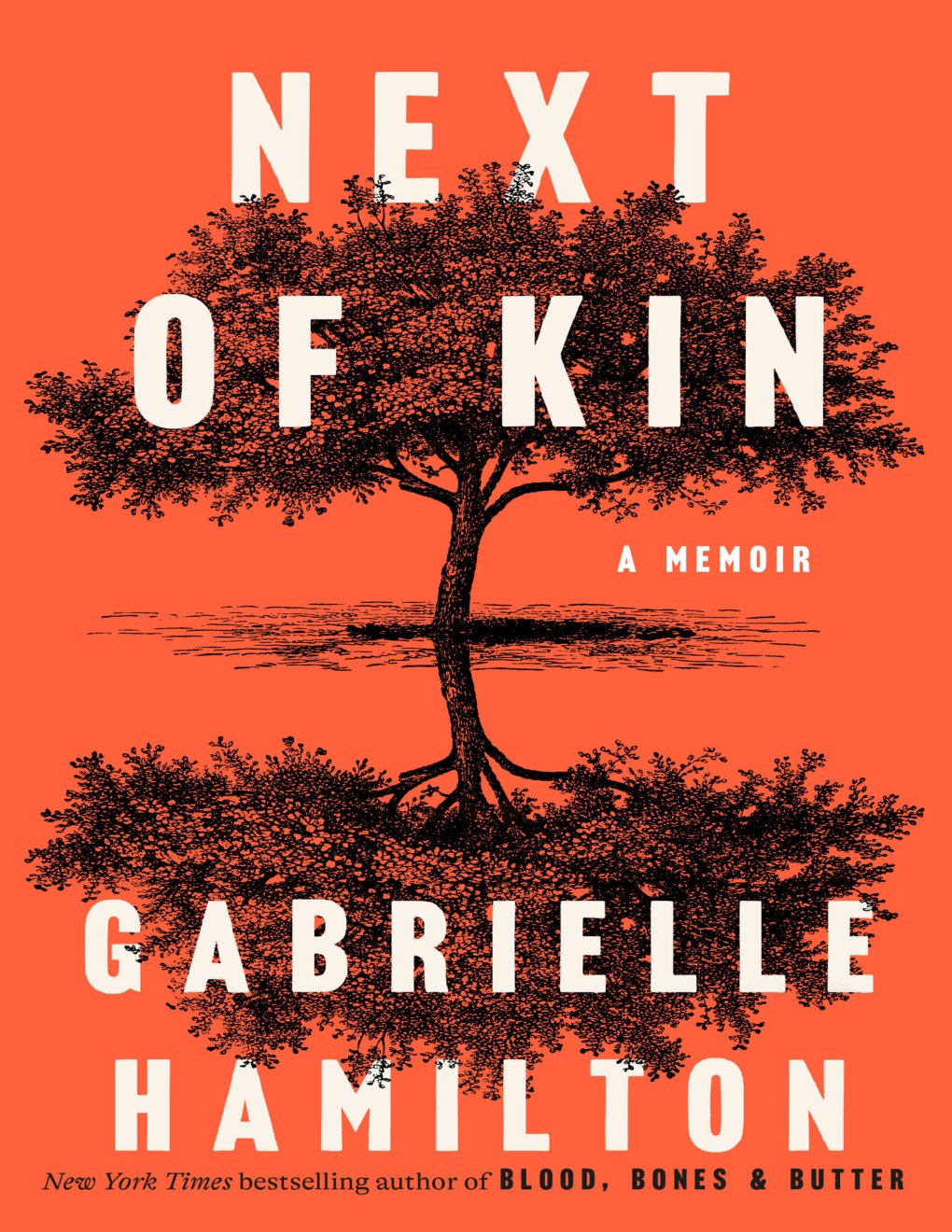 Cover of Next of Kin: A Memoir
