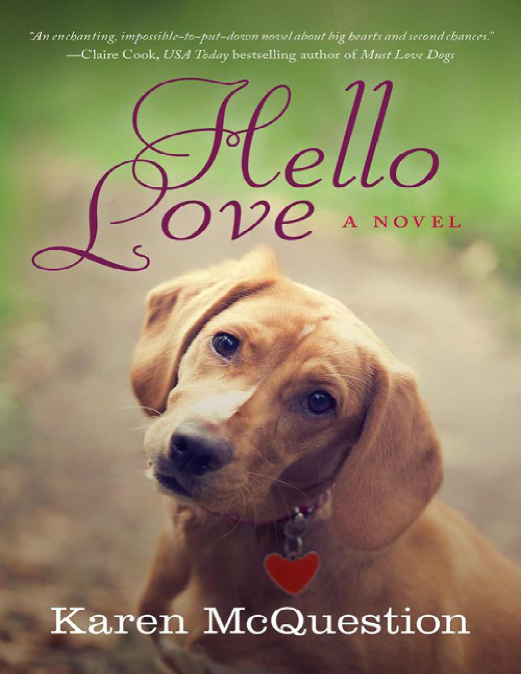 Cover of Hello Love