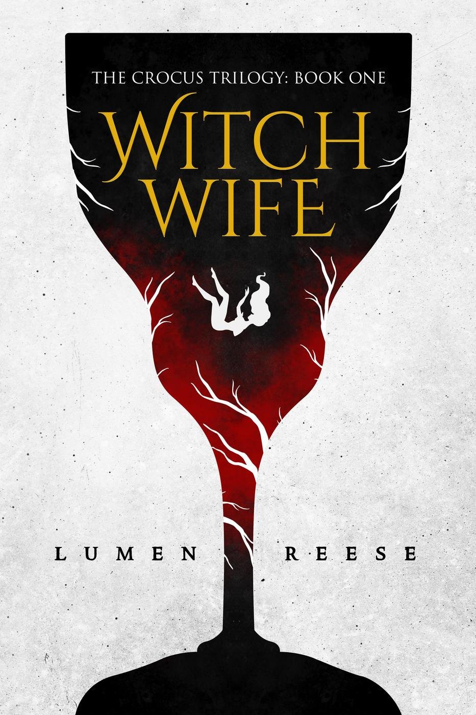 Cover of Witch Wife