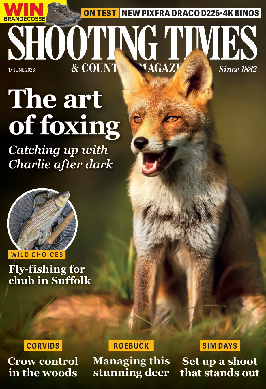 Cover of The art