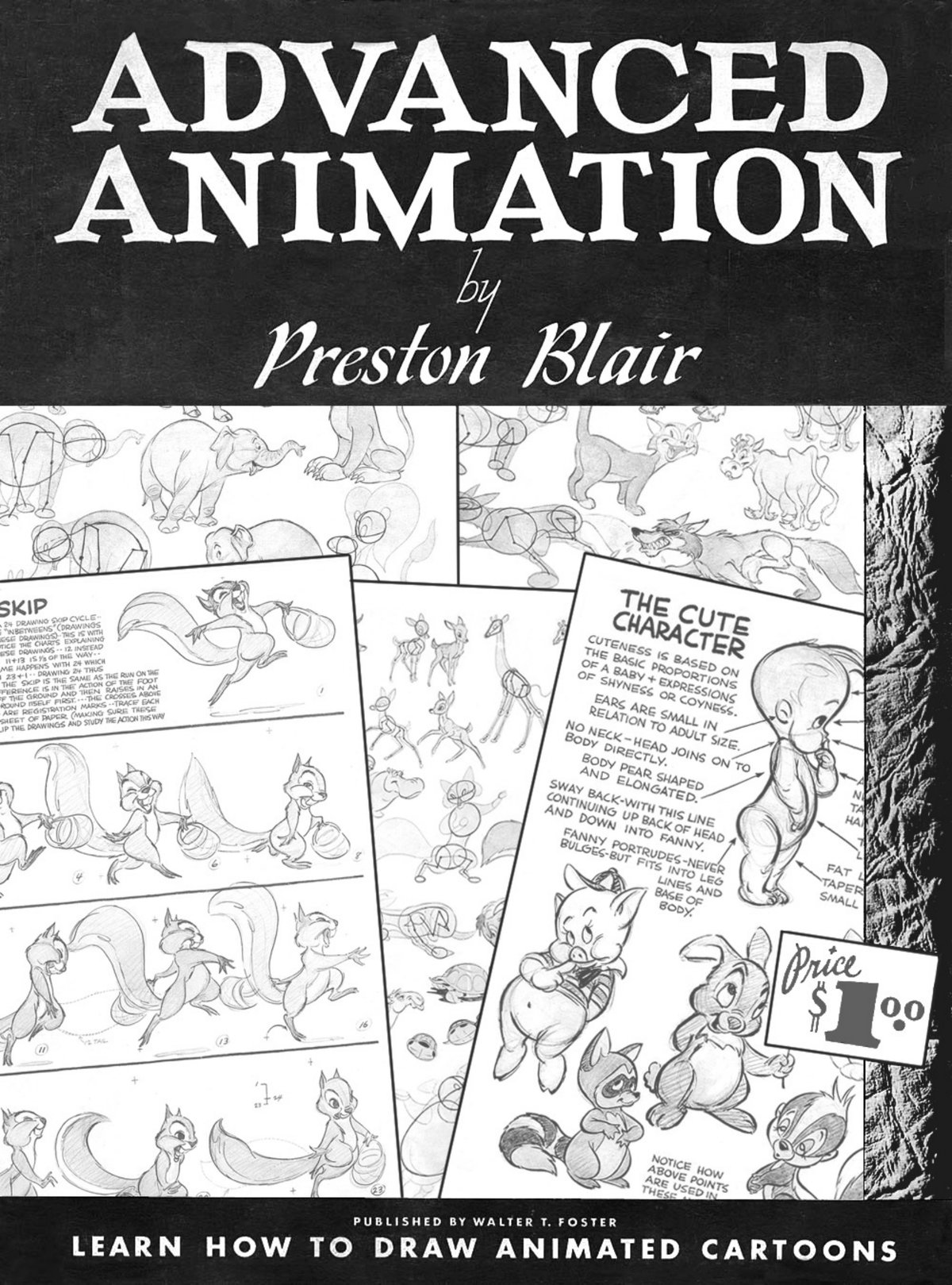Cover of Advanced Animation