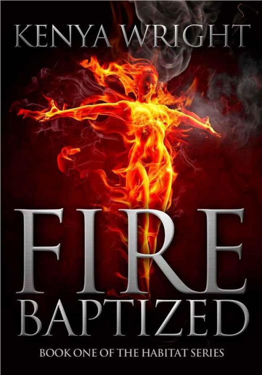 Cover of Fire Baptized (An Urban Fantasy / Paranormal Romance)